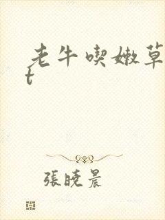 老牛吃嫩草txt