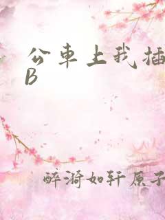 公车上我插上骚B