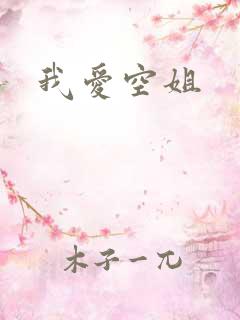 我爱空姐