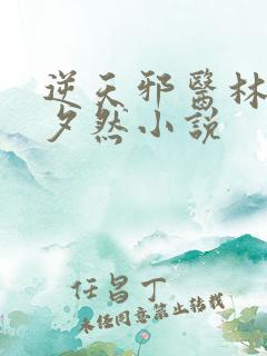 逆天邪医林辰苏夕然小说