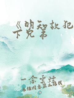 《明知故犯》年下兄弟