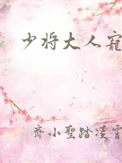 少将大人宠宠我