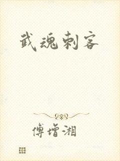 武魂刺客