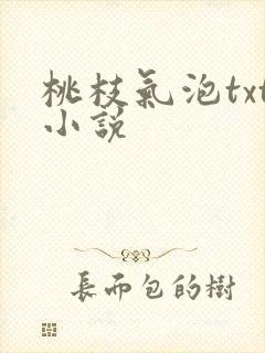 桃枝气泡txt小说