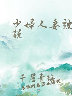 少妇人妻被弄小说
