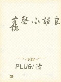 有声小说良陈美锦