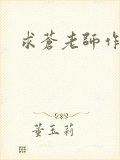 求苍老师作品