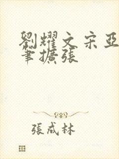 刘耀文宋亚轩用笔扩张
