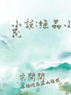 小说:绝品小农民