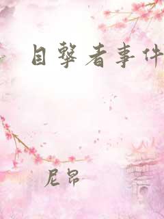目击者事件簿
