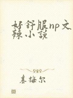 好舒服np文高辣小说