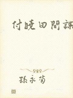 付晓田间谍案