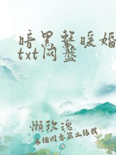 暗黑系暖婚番外txt网盘