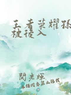 王者荣耀孙尚香被后入