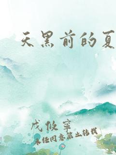 天黑前的夏天