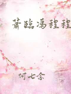 萧临冯程程小说