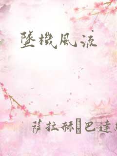 坠机风流