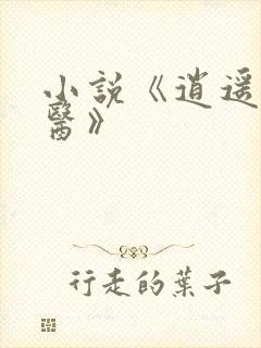 小说《逍遥小村医》