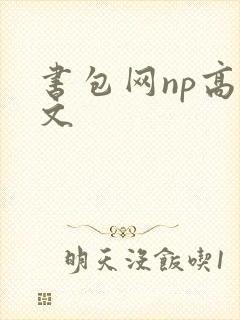 书包网np高辣文