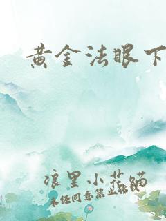 黄金法眼下载