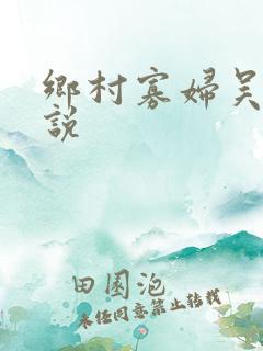 乡村寡妇吴能小说