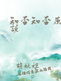 知否知否原著小说