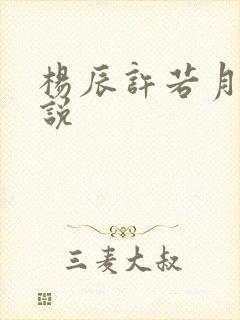 杨辰许若月的小说