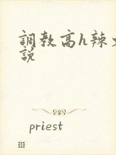 调教高h辣文小说