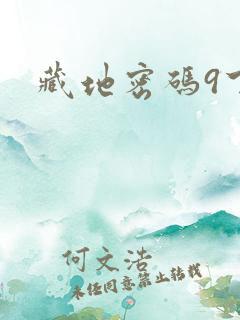 藏地密码9下载