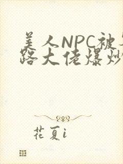 美人NPC被各路大佬爆炒小说