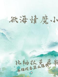 欲海情魔小说