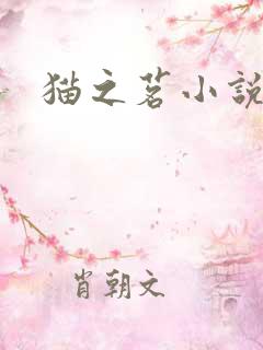 猫之茗小说