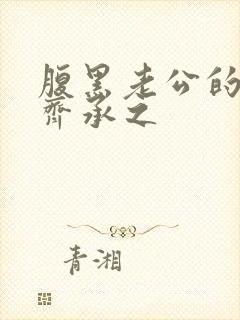 腹黑老公的宠妻齐承之