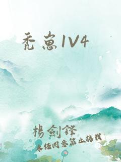 秃崽1V4