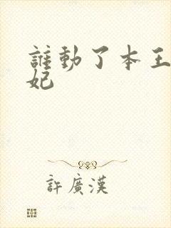 谁动了本王的悍妃