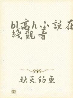 bl高h小说在线观看