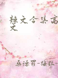辣文合集高h辣文