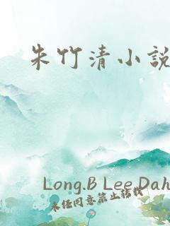 朱竹清小说