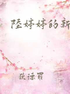 陆婷婷的新故事