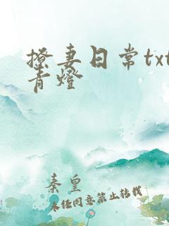 撩妻日常txt青灯