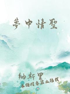 梦中情圣