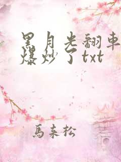 黑月光翻车后被爆炒了txt