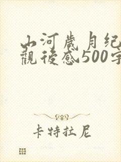 山河岁月纪录片观后感500字