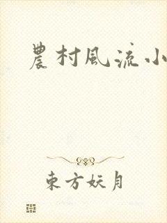 农村风流小说