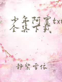 少年阿宾txt全集下载