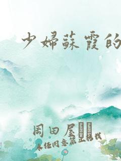 少妇苏霞的沉沦