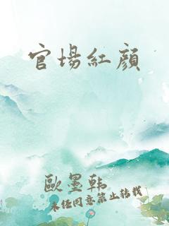 官场红颜