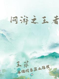 网游之王者天下