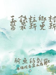 王铁柱乡村小神医最新更新
