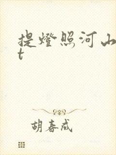 提灯照河山txt